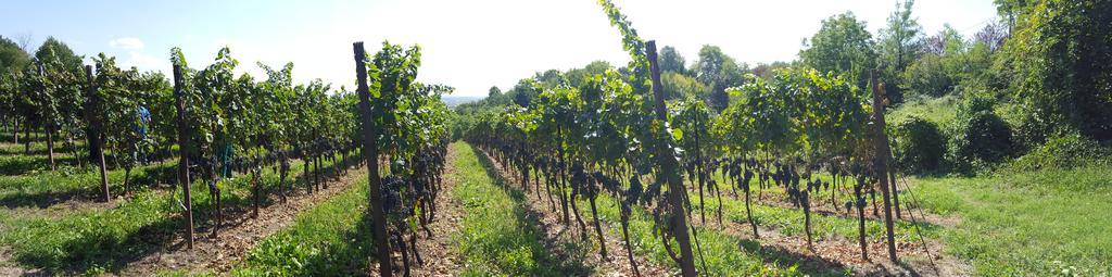 Agriturismo Marco 베르가모 외부 사진