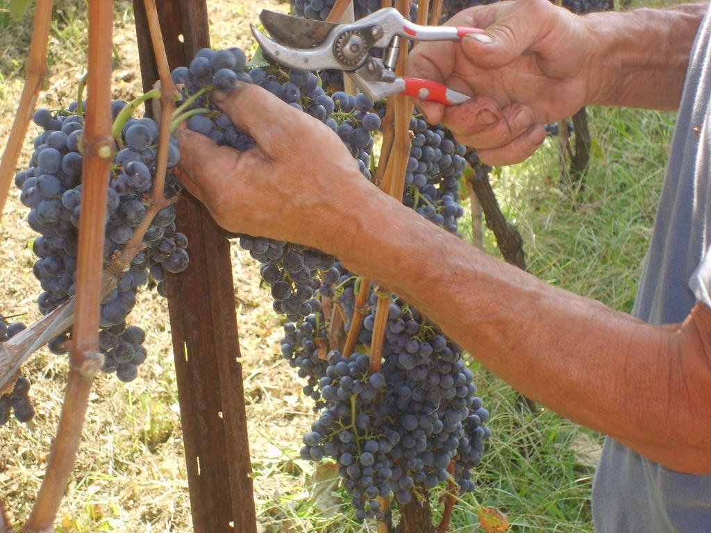 Agriturismo Marco 베르가모 외부 사진